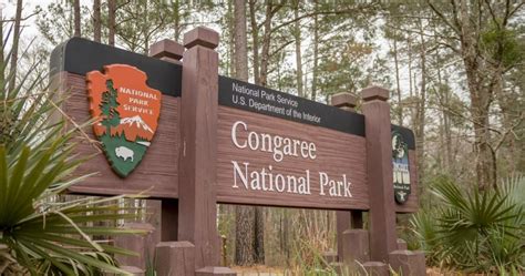 10 Things You Didn't Know About Congaree National Park