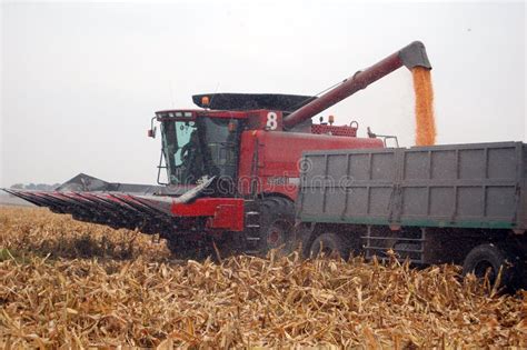 Harvesting corn stock image. Image of flow, fall, maiz - 16612177