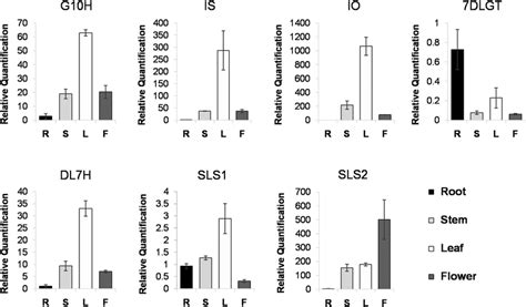 The Expression Pattern Of Seven Genes In Swertiamarin Biosynthesis