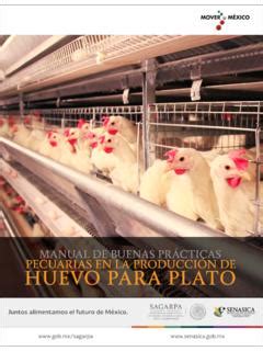 MANUAL DE BUENAS PRÁCTICAS PECUARIAS EN LA Buenas Practicas De