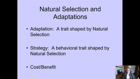 Natural Selection And Adaptations