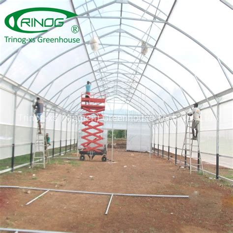 Agriculture Farm Single Span Tunnel Plastic Film Greenhouse With