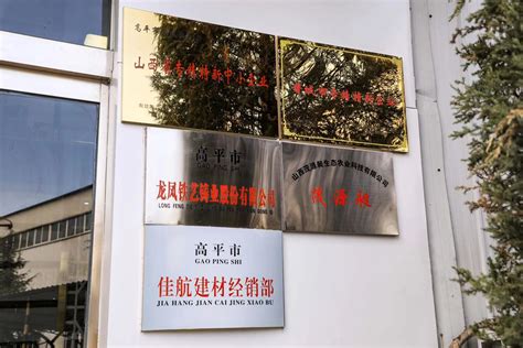 龙凤铁艺铸业有限公司：十年磨一剑 匠心铸精品高平市人民政府网