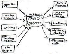 Cause And Effect Thinking Map Maping Resources