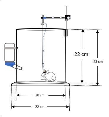 CMA MOUSE CAGE - Instruments - Products