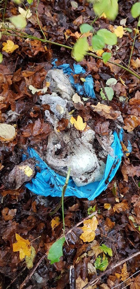 Liter M Ll Auf Einem Kilometer Cleanup Saarland