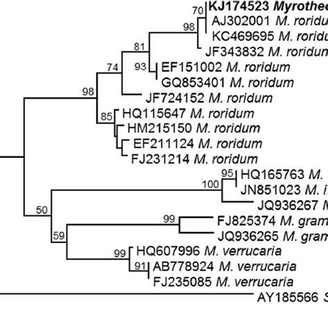 Neighbor Joining Tree Of Myrothecium Spp Based On Internal Transcribed