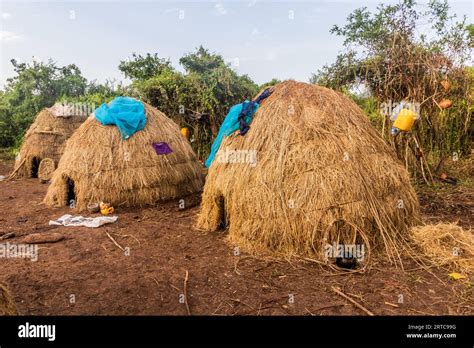 Huts In Mursi Tribe Village Ethiopia Stock Photo Alamy