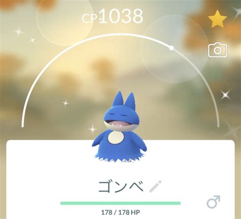 【ポケgo】2kmタマゴから色違いのゴンベをゲットだぜ！ えいくの日記