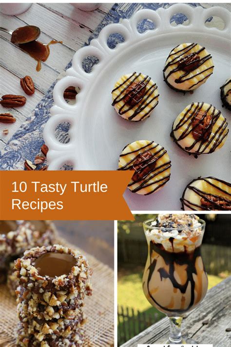 10 Tasty Turtle Recipes : Woman of Many Roles