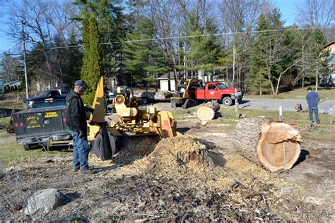 Traverse City Stump Grinding Siler S Stump Grinding Expert