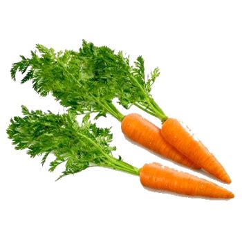 Free Carrot Transparent Background, Download Free Carrot Transparent ...