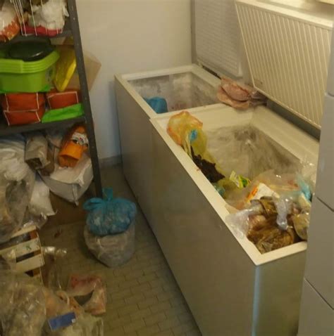 Cibi Malconservati Nei Freezer Sequestro E Sanzioni Per Un Ristorante