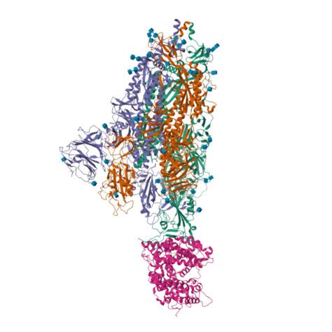 Rcsb Pdb Wlo Cryo Em Structure Of Sars Cov Prototype Spike