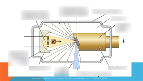 Dental Radiography X Ray Tube Ect Diagram Quizlet