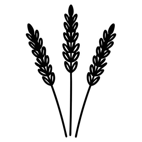 Cluster of Three Lavender Stems 53547994 Vector Art at Vecteezy