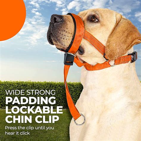 Dog Head Halter With Safety Strap Dog Head Collar With Reflective