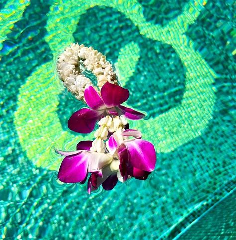 ACOさんのインスタグラム写真 ACOInstagram Nothing lasts forever ビキニ 水着 海 夏 プール ビーチ リゾート bikini