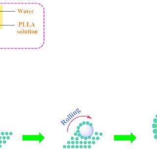 Scheme 1. The schematic illustration of the preparation of Pickering ...