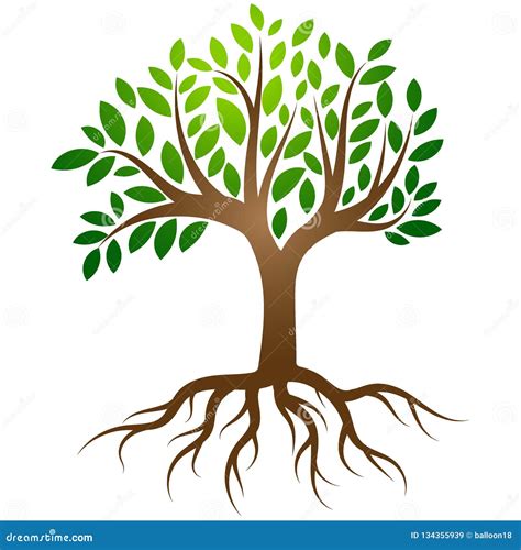 Tree Roots Stock Illustrations 9282 Tree Roots Stock Illustrations