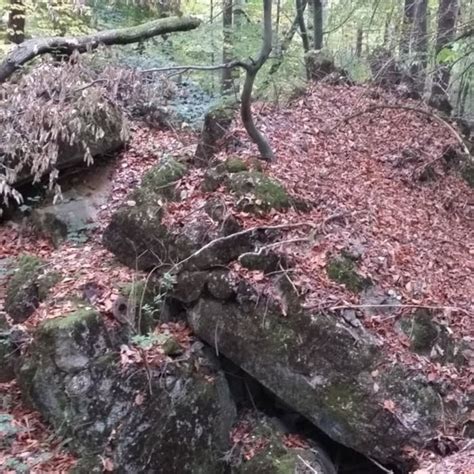 Wandern Pfälzer Rundwanderung mit Einkehr Schuetzenhaus