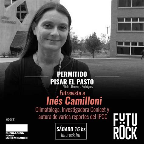 Stream Entrevista In S Camilloni En Permitidopisarelpasto By