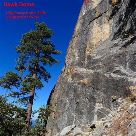 Topo Pix To My Pussy Hurts