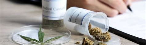 Ber Uns Vca Verband Der Cannabis Versorgenden Apotheken E V