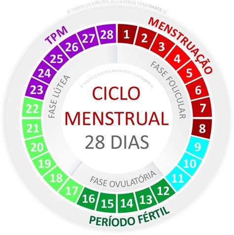 Como Calcular o Período Fértil Calculadora 5 sintomas