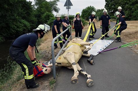 Kuh In G Llegrube Nachholbedarf Bei Der Gro Tierrettung Feuerwehr Ub De