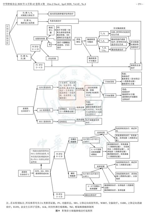 中华医学会肿瘤学分会肺癌临床诊疗指南（2021版）指南•规范•共识药讯中心湖南药事服务网