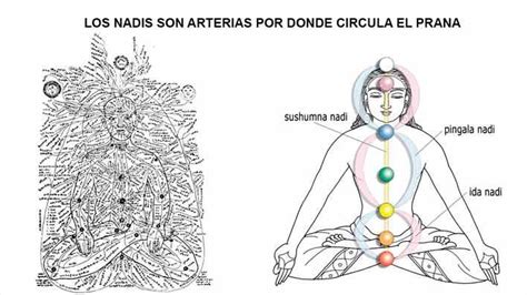 Aviso De Redireccionamiento Chakras Chakras Reiki Reiki