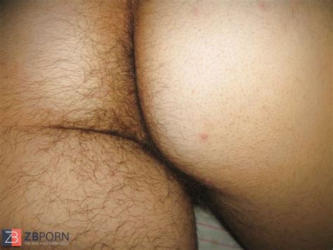 Some Fur Covered Bum ZB Porn