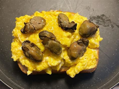 recipes for canned oysters 7