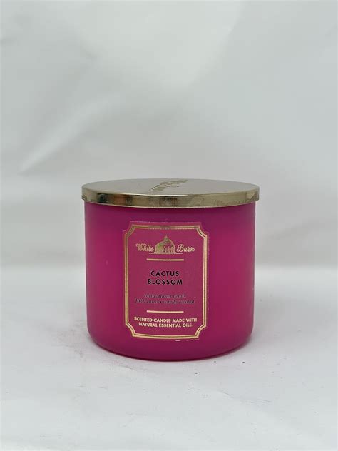 Amazon Cactus Blossom 3 Wick Candle 14 5 Oz 411 G Home Kitchen