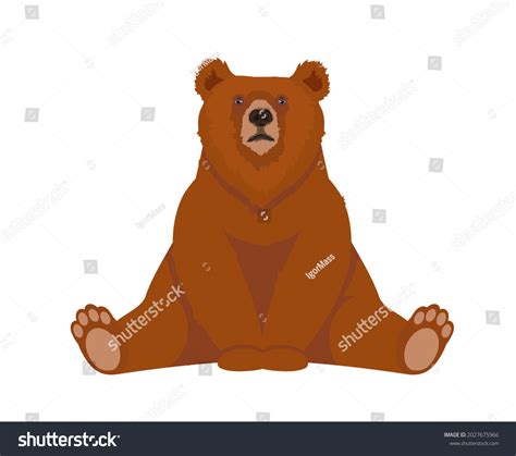 Brown Bear Sitting Vector Illustration Stock Vector Royalty Free