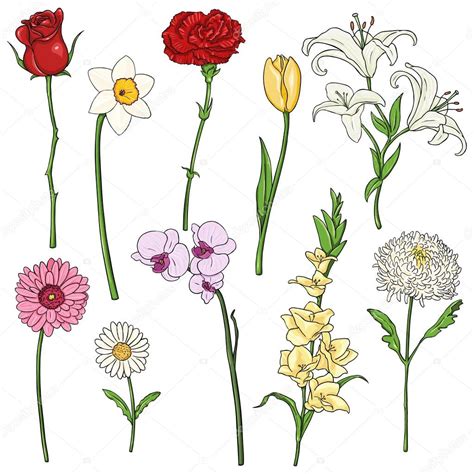 Vector Conjunto De Flores De Color De Dibujos Animados — Vector De