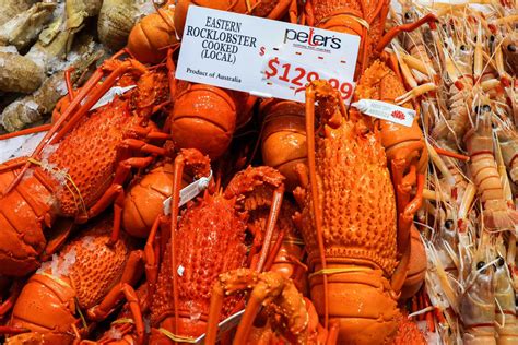 China Lifts Four Year Import Ban On Australian Rock Lobsters