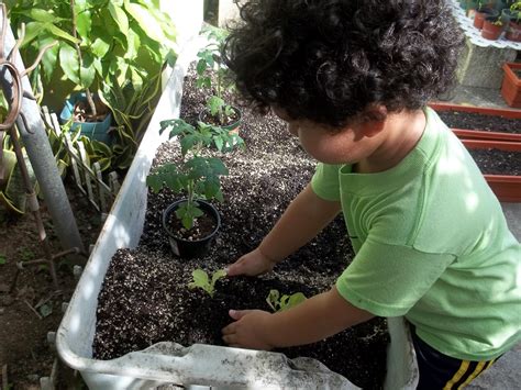 Niños sembrando Imagui