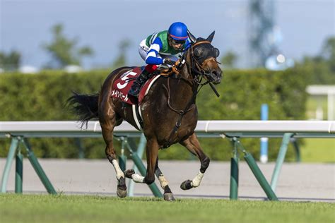 人気馬メイケイエールはスプリンターズsでgi初制覇なるか？ 気性難の牝馬と池添謙一の覚悟名手が絶句した日「子供、あの馬の子供」 競馬