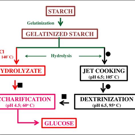 Pdf Enzymatic Modification Of Starch