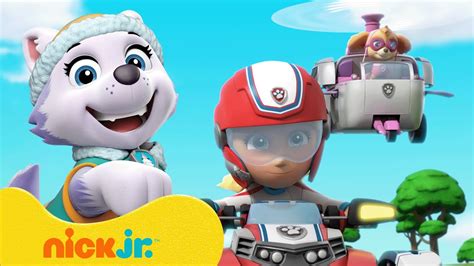 Paw Patrol La Squadra Dei Cuccioli Il Meglio Dei Cuccioli Salvati