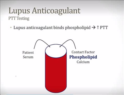 2.3 Lupus Anticoagulant Flashcards | Quizlet