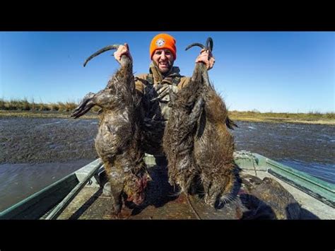 Hunting GIANT Marsh RATS for Food | Louisiana Nutria Hunting and