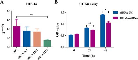 Figure From Role Of The Hif Sdf Cxcr Signaling Axis In