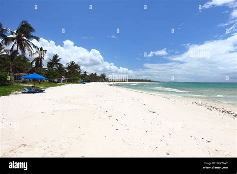 Kenya Mombasa East Africa West Kenya Diani Beach Palm Tree Sea