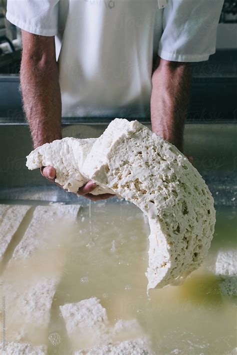 «Cheese Curds Being Processed At Cheese Making Factory» del colaborador ...