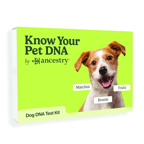 The 5 Best Dog DNA Tests, Tested and Reviewed