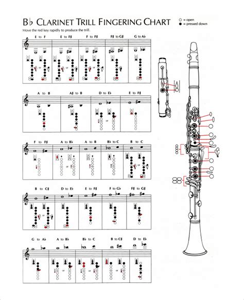 Clarinet Fingering Chart Amro Music Memphis Tn Atelier Yuwa Ciao Jp