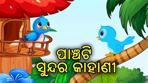 5 Specila Story Birds Story Odia Gapa Aaimaa Kahani Chadhei